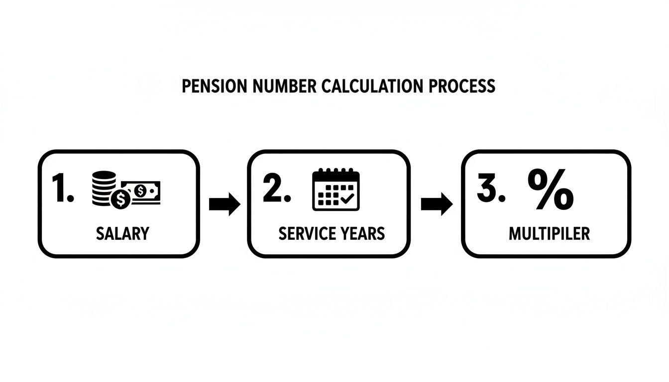 Flowchart illustrating the pension number calculation process with steps for salary, service years, and multiplier. Flowchart illustrating the pension number calculation process with steps for salary, service years, and multiplier.