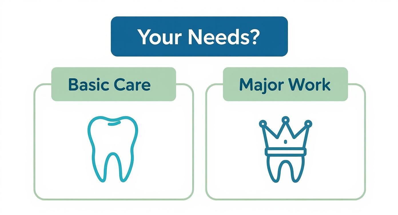 Infographic about best federal employee dental insurance Infographic about best federal employee dental insurance