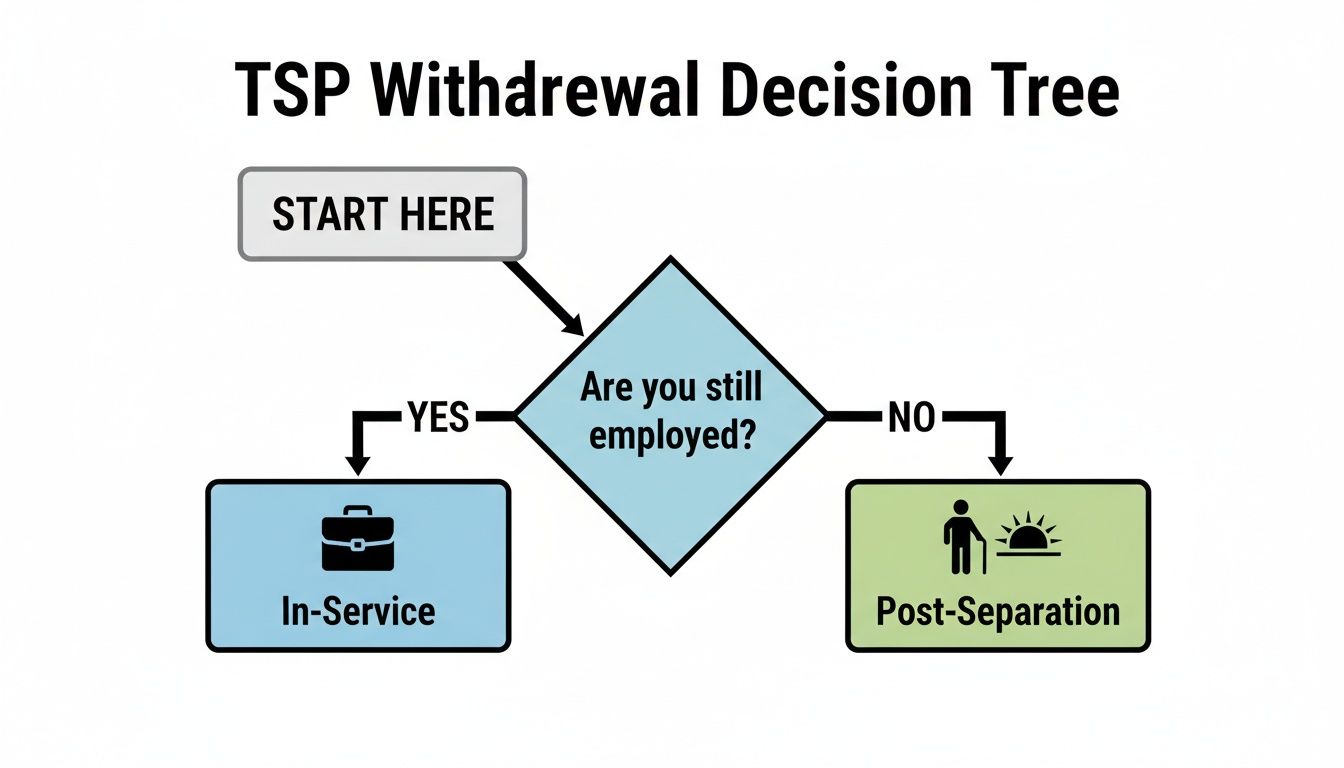 A TSP Withdrawal Decision Tree flowchart guides users on options based on employment status.