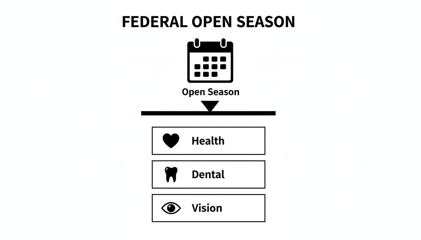 A diagram illustrating the Federal Open Season for health, dental, and vision insurance enrollment.