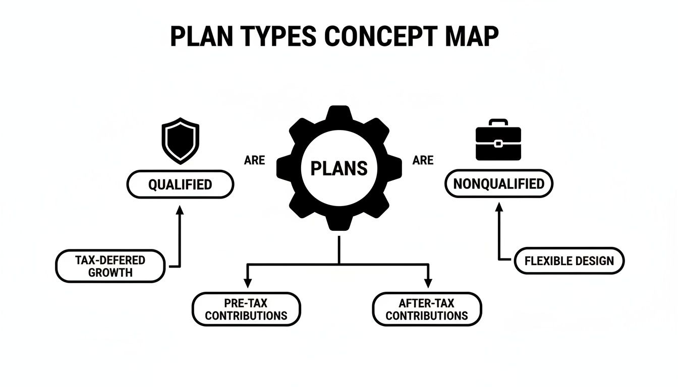 A concept map illustrating plan types, including qualified and nonqualified plans, contributions, and growth.