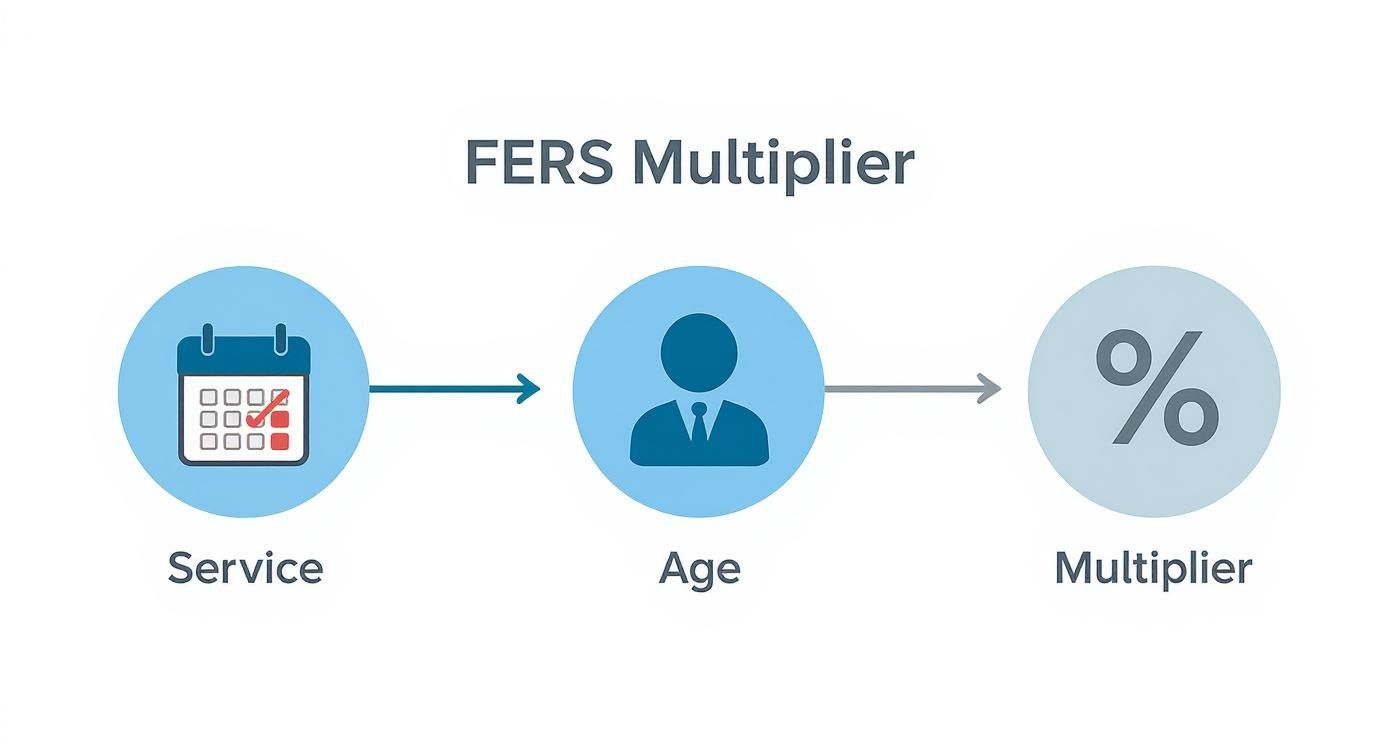 FERS multiplier diagram showing service calendar, employee age, and percentage symbol with arrows