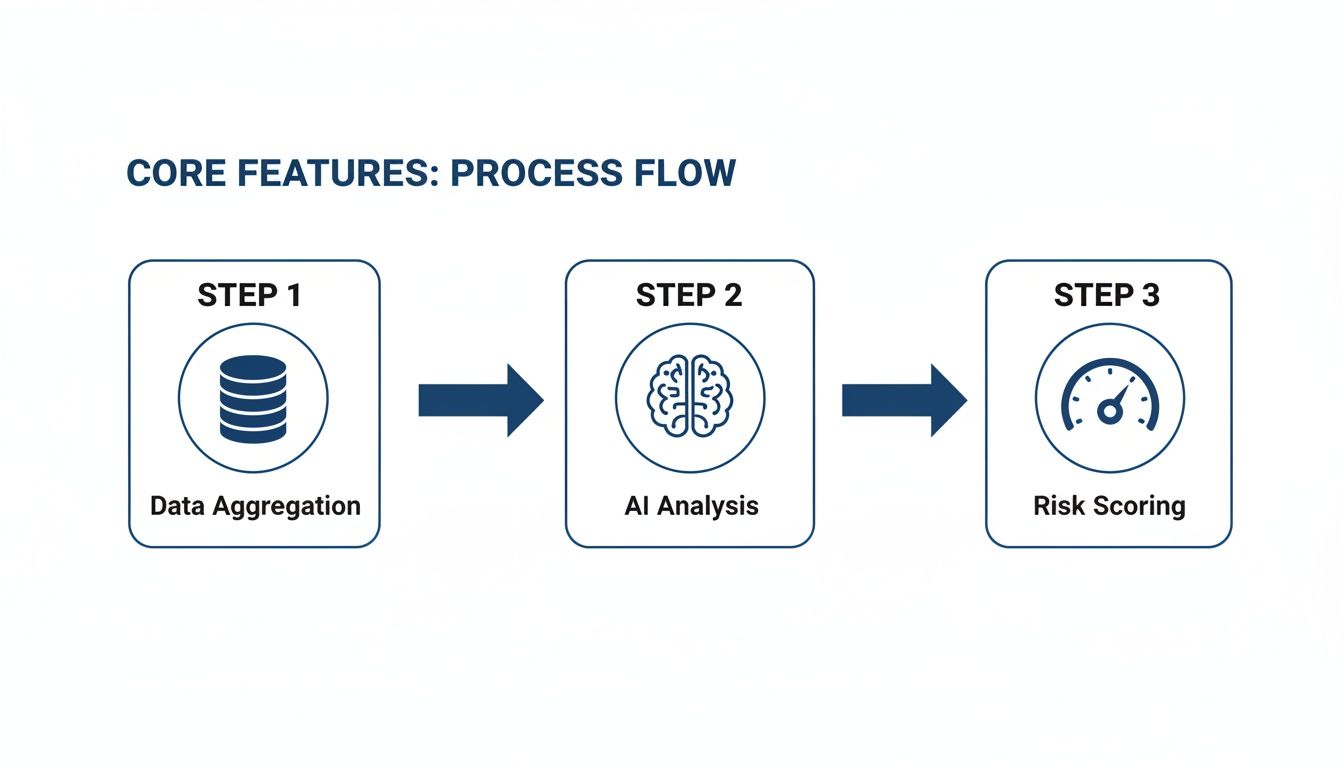 due-diligence-software-process-flow.jpg