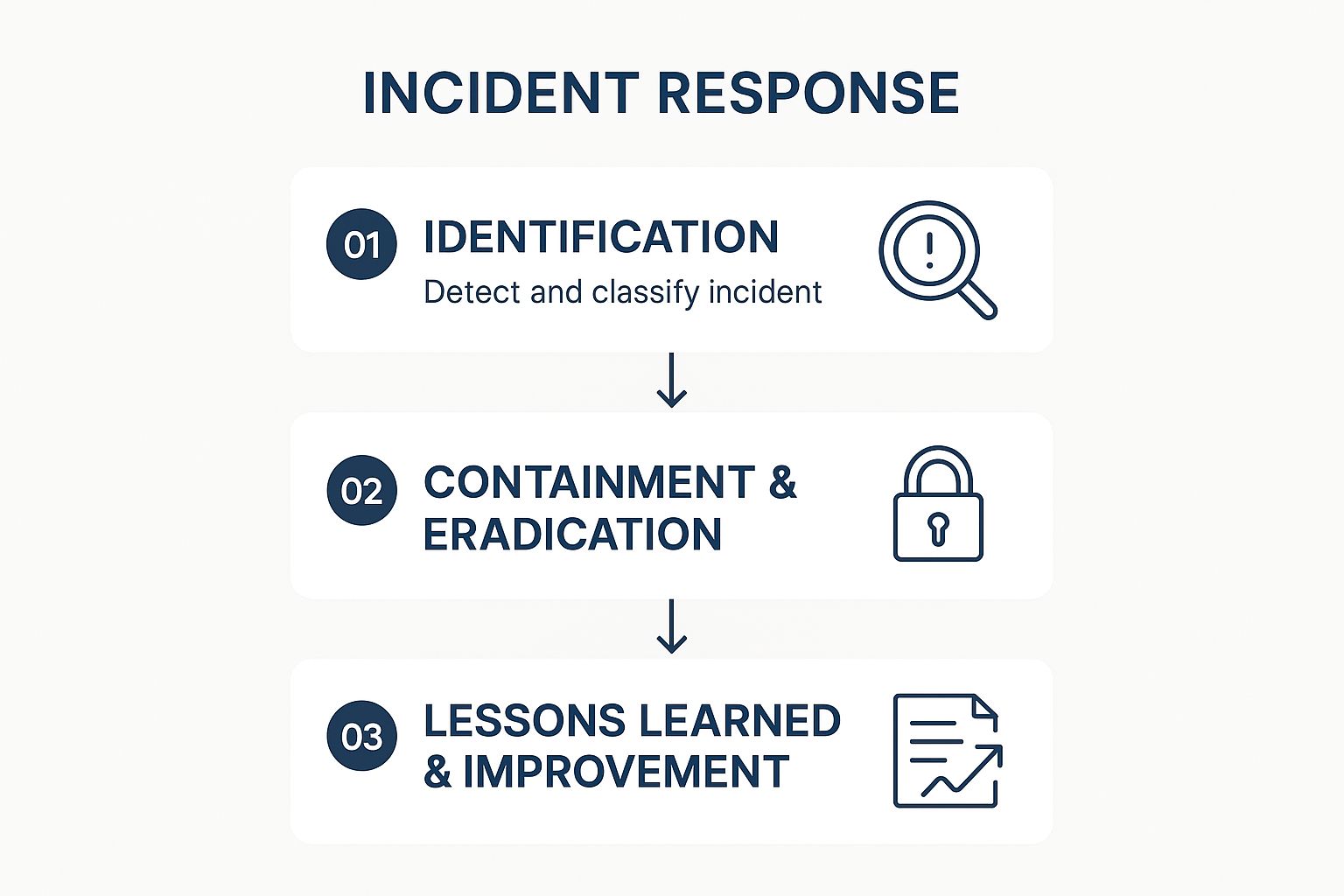 infographic-b79fb6a8-526c-48cc-a47a-311f71072844.jpg