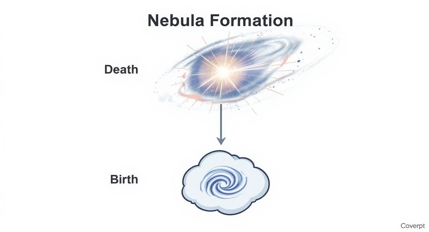 Infographic about what is a nebula