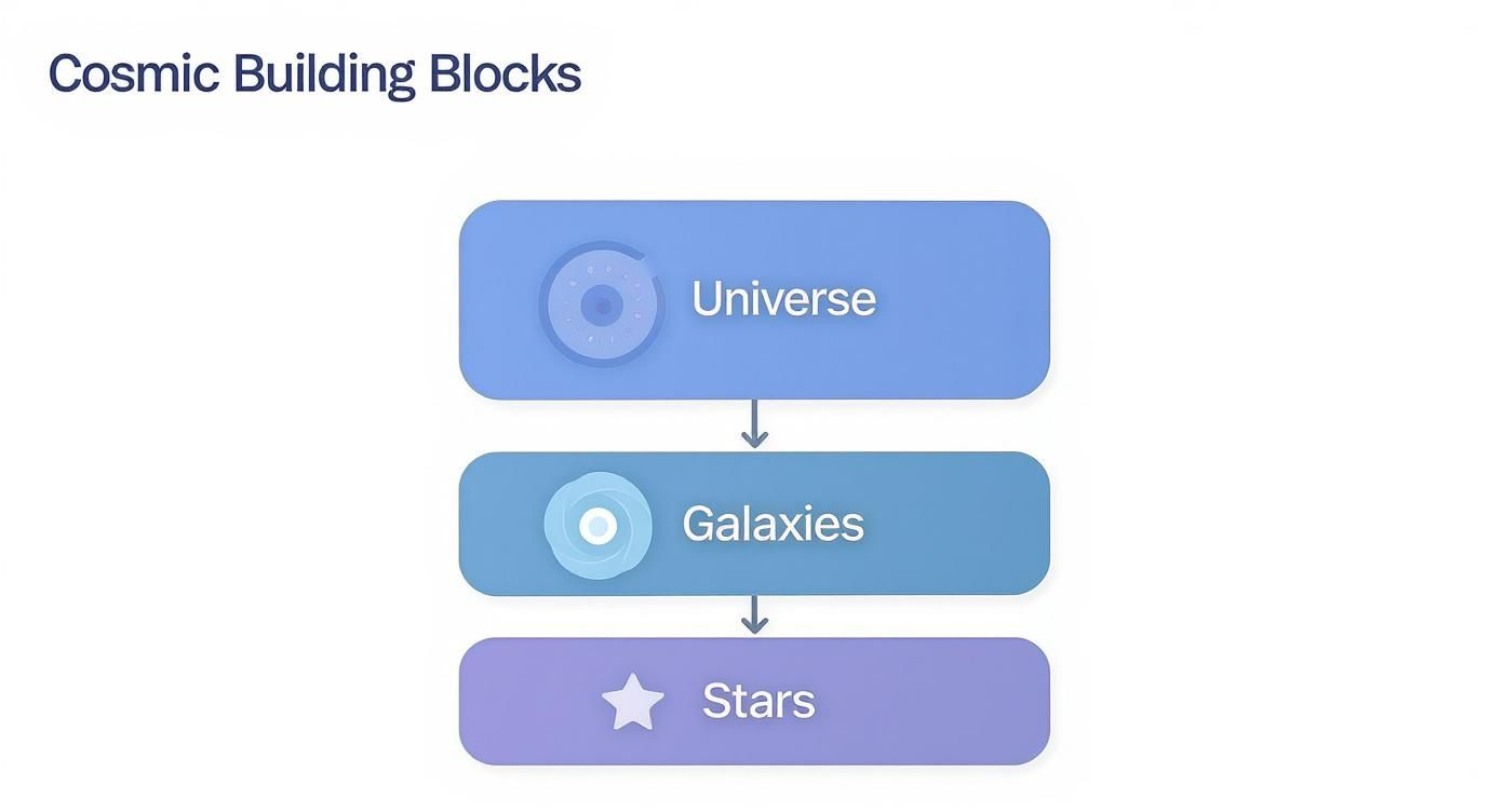 Infographic about what is the universe