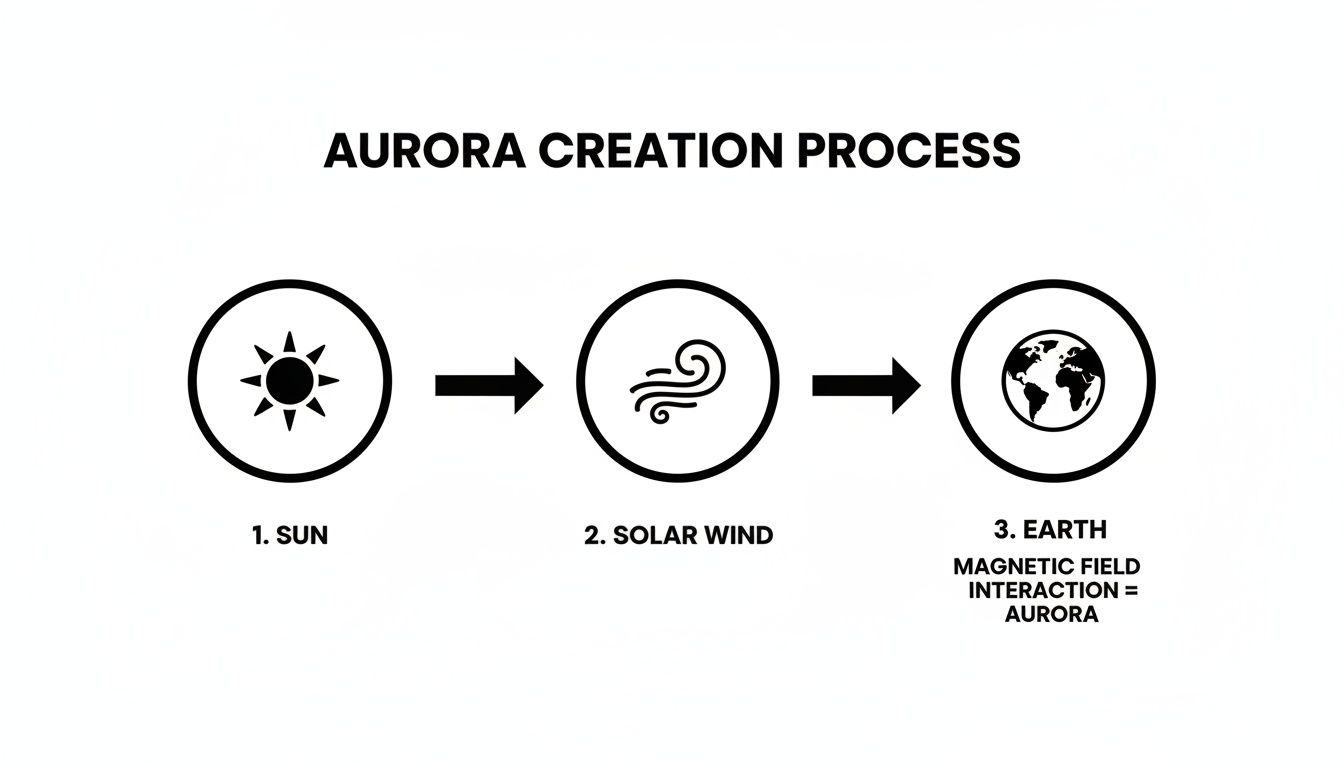 Infographic detailing the aurora creation process from the sun, solar wind, and Earth's magnetic field interaction.