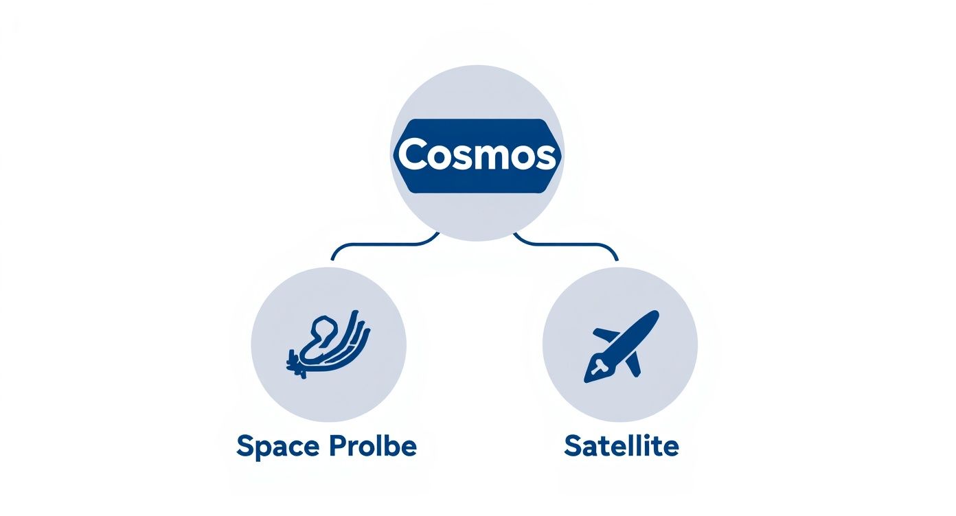Infographic about what is a space probe