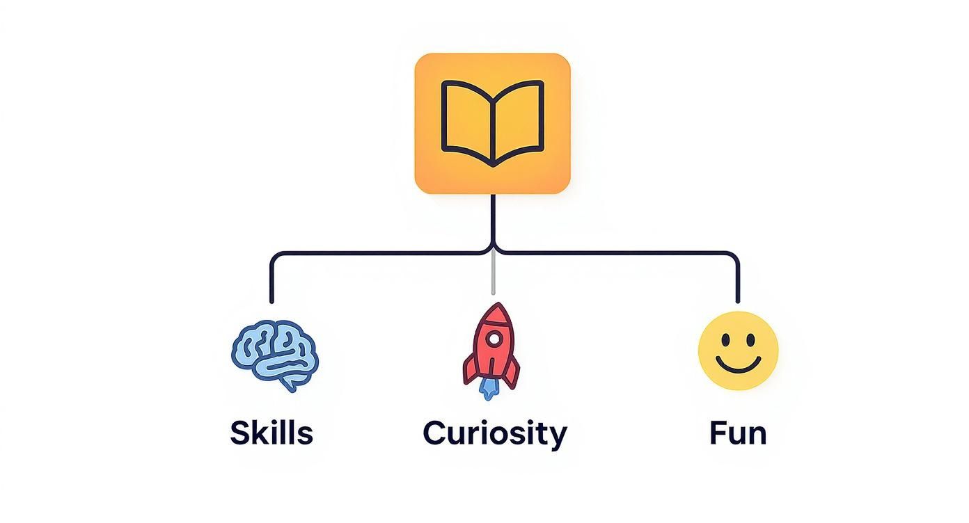 A concept map shows an open book linked to a brain for skills, a rocket for curiosity, and a smiley face for fun.