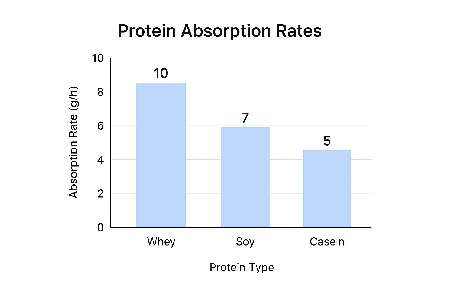 Infographic about protein absorption rates