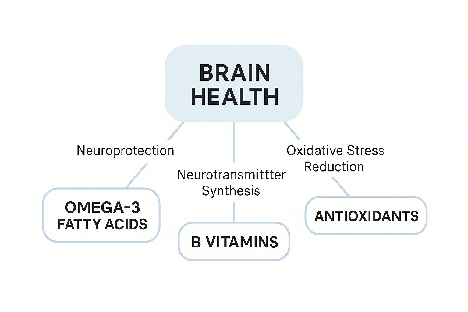 Infographic about nutrition for brain health