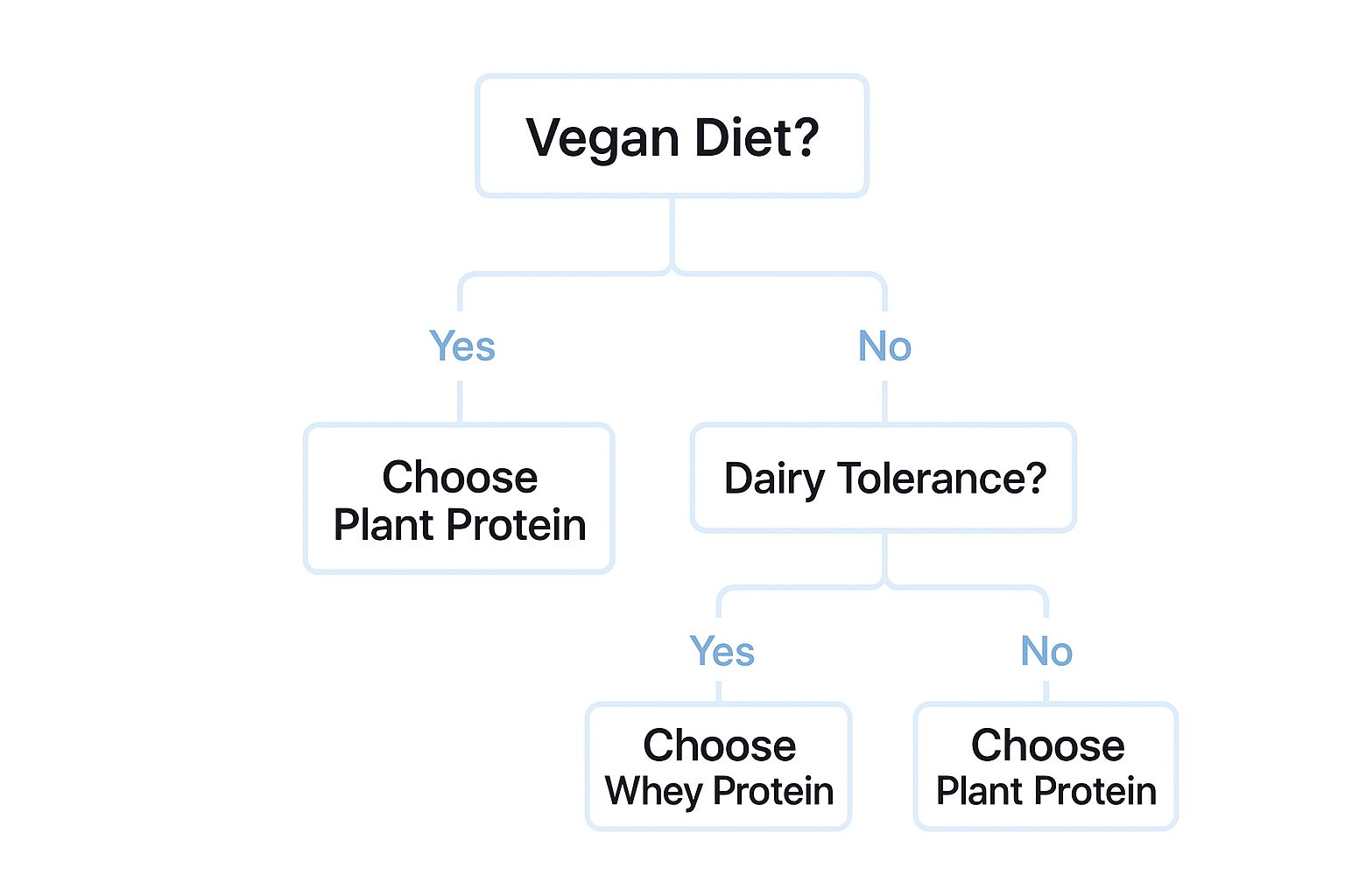 Infographic about plant protein vs whey protein