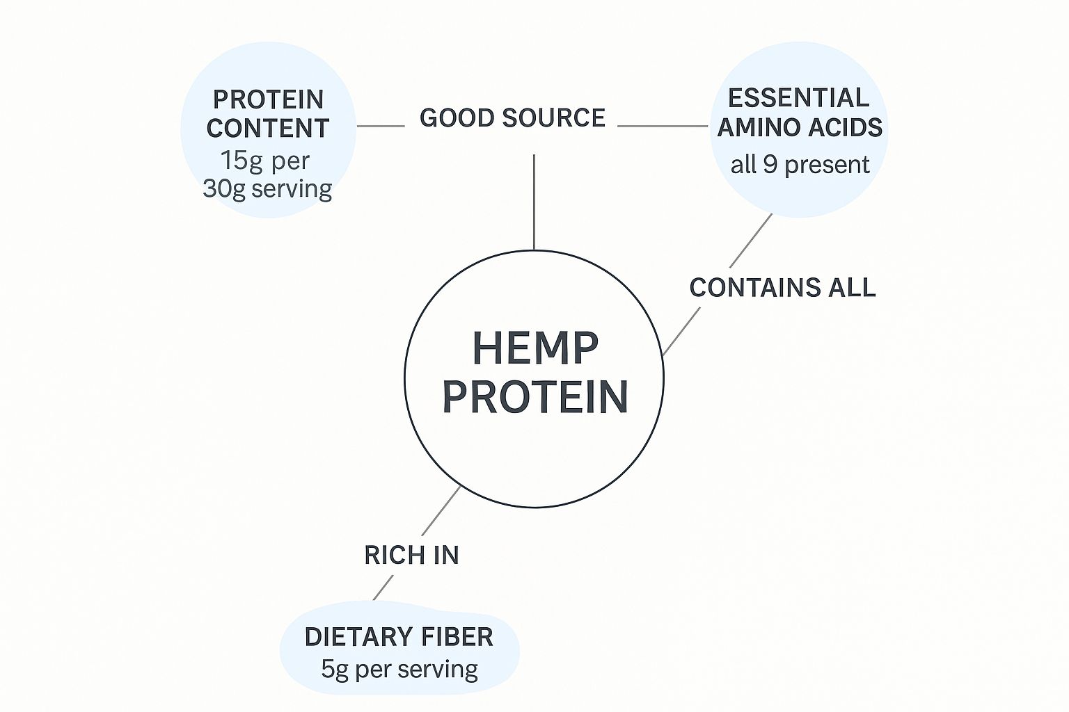 Infographic about is hemp protein good for you