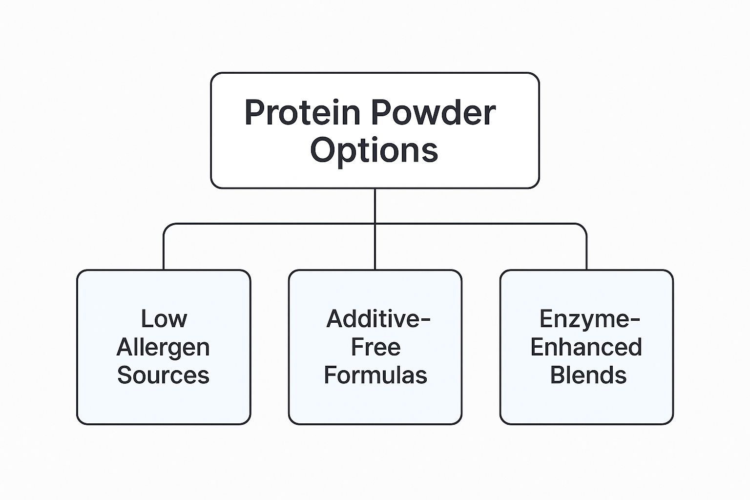 Infographic about protein powder for sensitive stomach