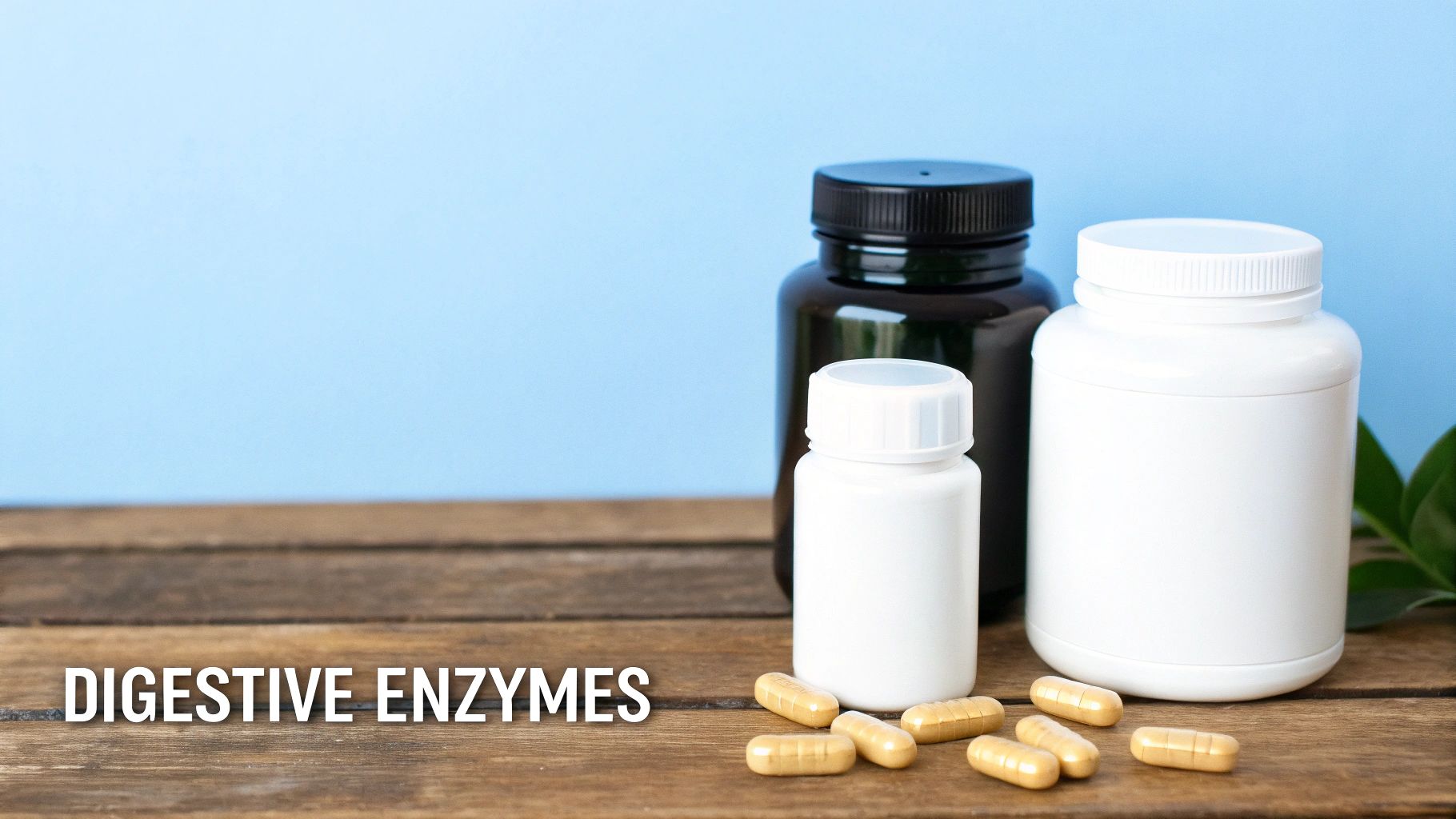 Digestive Enzyme Supplementation