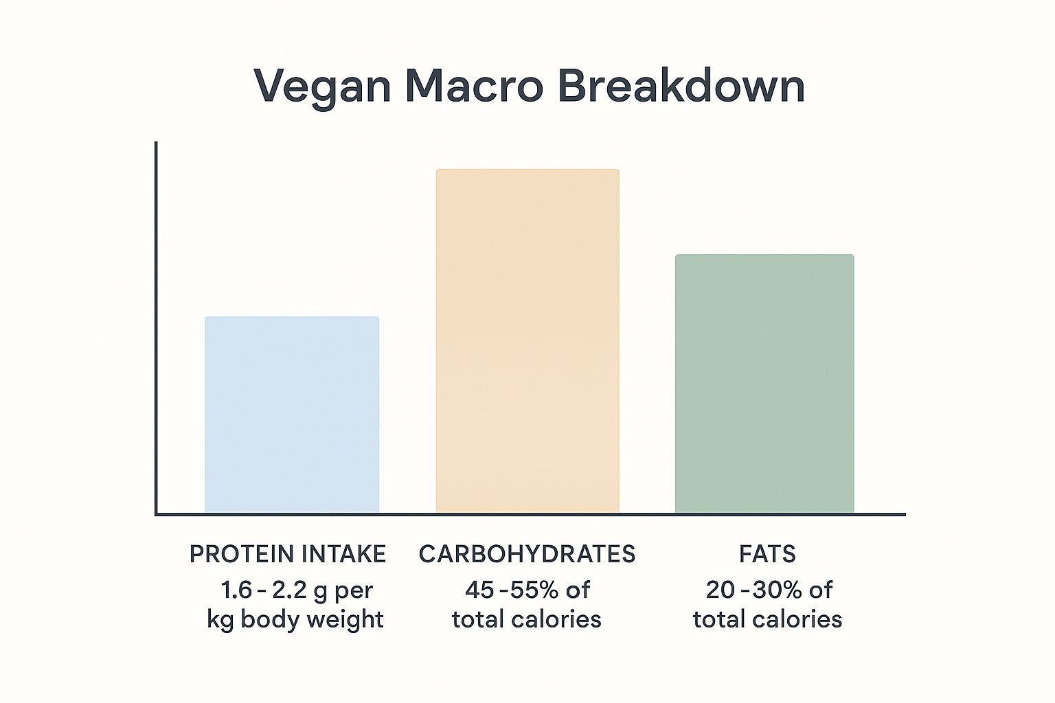 Infographic about vegan diet for muscle gain