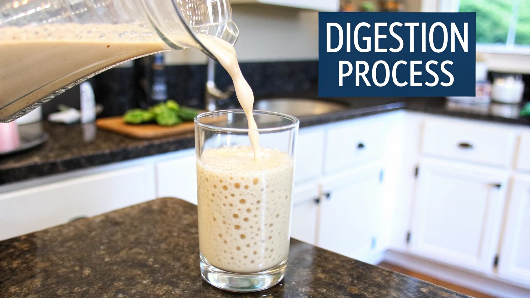 Digesting Protein