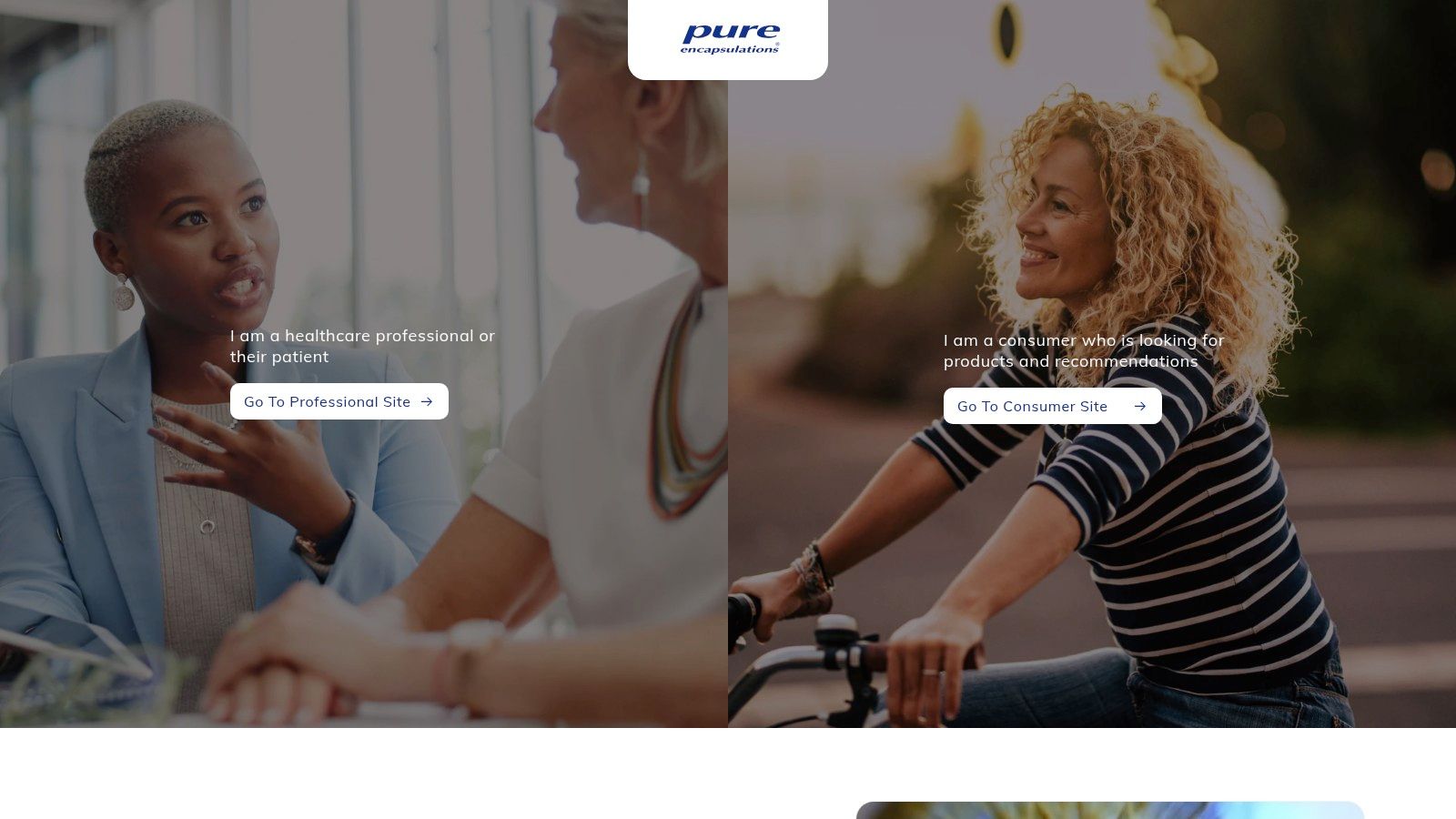 Pure Encapsulations