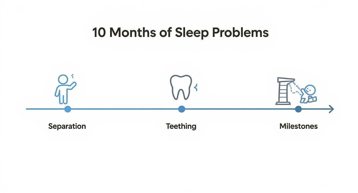 Infographic showing a timeline of common 10-month-old sleep problems including separation anxiety, teething, and developmental milestones.