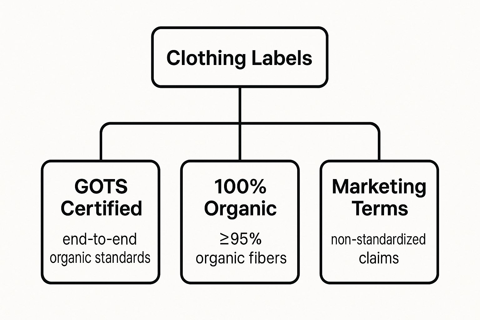 Infographic about best organic baby clothes brands
