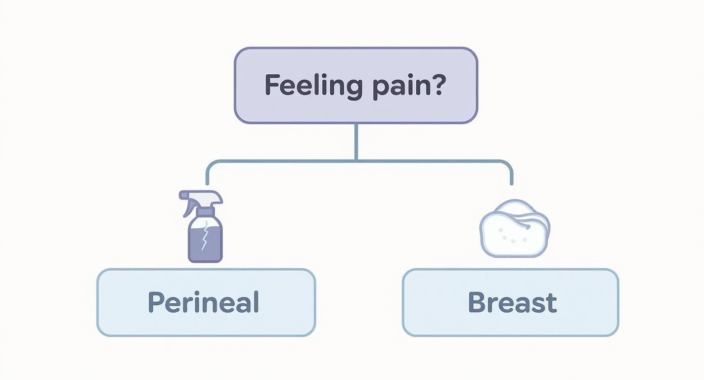 Infographic about first time mom essentials