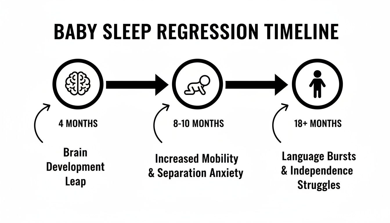 A timeline illustrating baby sleep regression stages at 4, 8-10, and 18+ months with key developmental milestones.