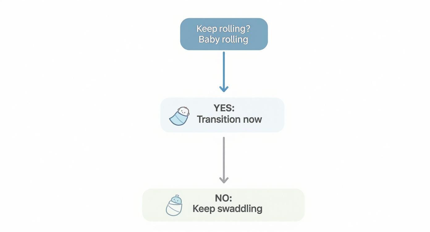 Flowchart: If baby is rolling, transition from swaddling; if not, continue swaddling.