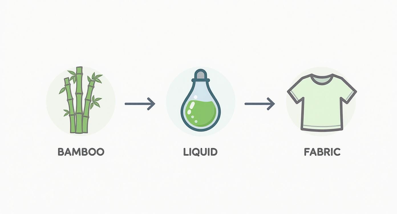 Infographic about what is bamboo viscose fabric