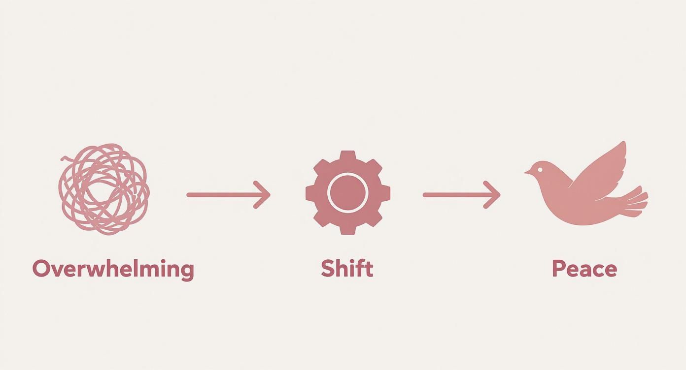 Visual diagram showing journey from overwhelming tangled thoughts through shift process to peaceful flying dove