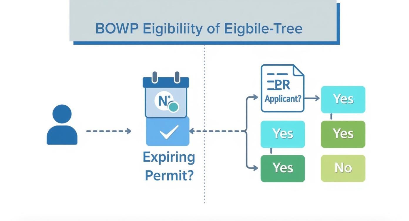 Infographic about bridging open work permit eligibility