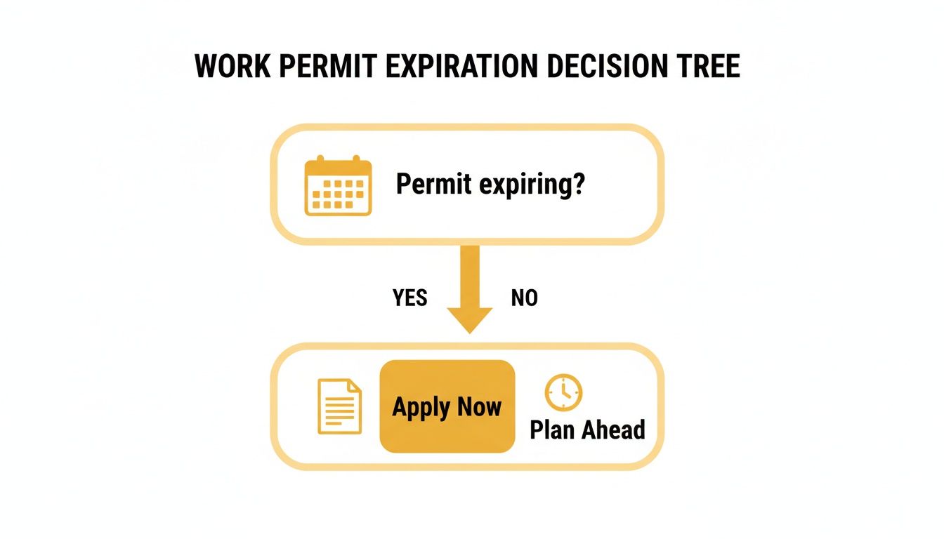 A decision tree flowchart titled 'Work Permit Expiration' showing steps for permit renewal: apply now if expiring, or plan ahead.
