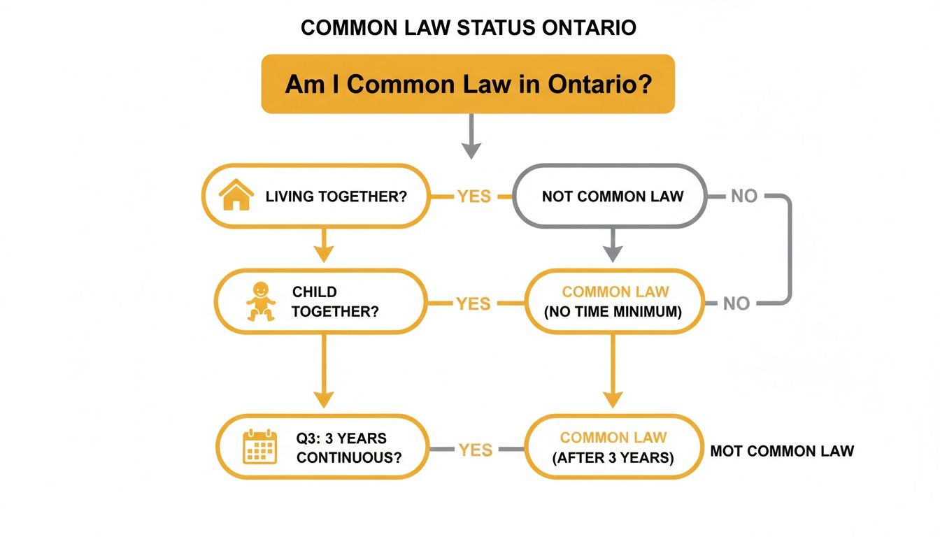 Flowchart detailing the common law status criteria in Ontario, based on cohabitation, children, and duration.