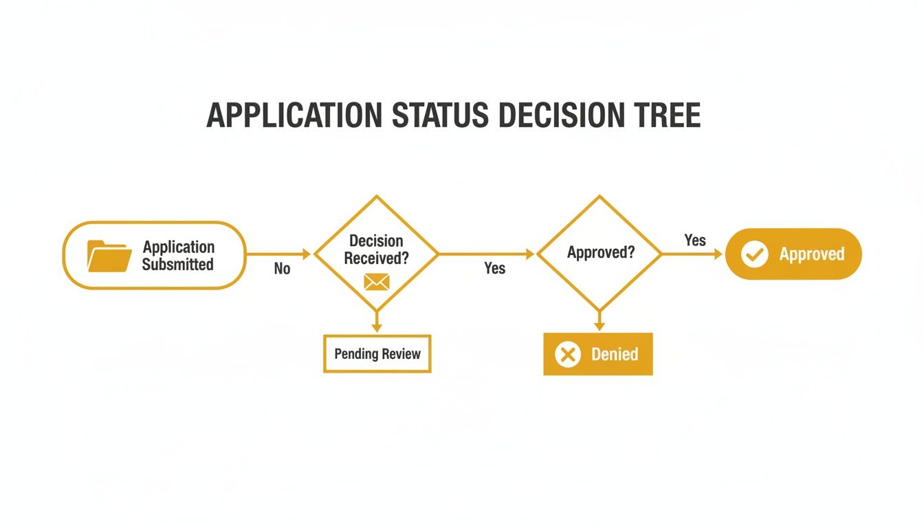 Flowchart illustrating the application status decision tree from submission to approval or denial.
