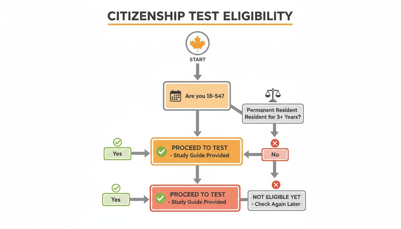 Flowchart illustrating Canadian citizenship test eligibility based on age and permanent residency status.