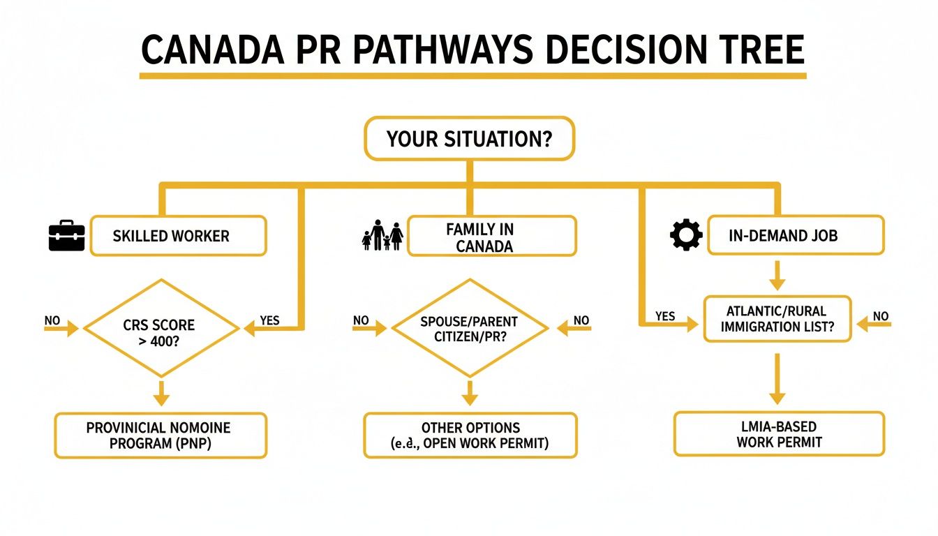 Decision tree illustrating Canada PR pathways for skilled workers, family, and those with in-demand jobs.