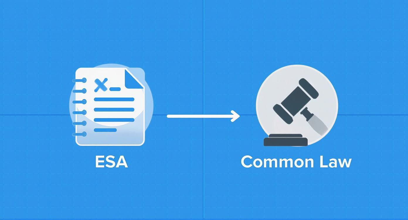 An icon representing the Employment Standards Act (ESA) document transforming into a common law gavel icon.