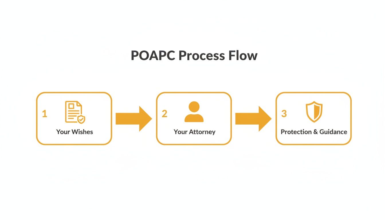 A process flow diagram shows three steps for POAPC: Your Wishes, Your Attorney, and Protection & Guidance.
