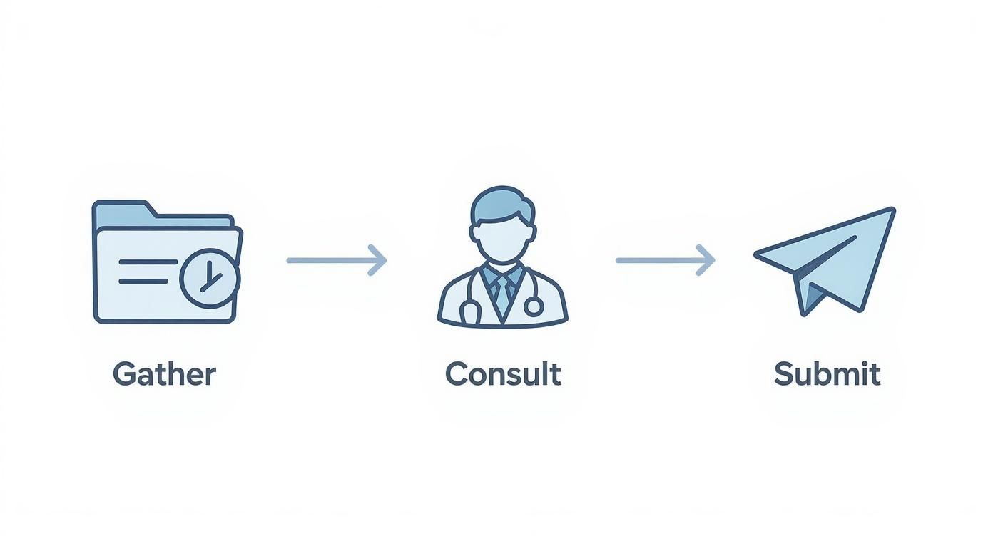 A three-step process diagram showing gather documents, consult a doctor, and submit an application.