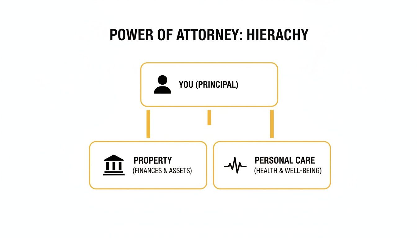 A clear diagram illustrating the Power of Attorney hierarchy from Principal to Property and Personal Care.