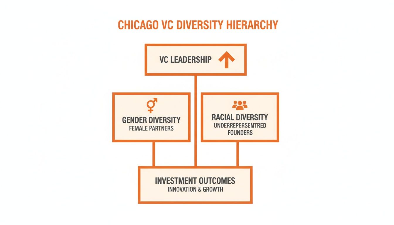 Diagram illustrating the Chicago VC Diversity Hierarchy, connecting leadership, gender, racial diversity, and investment outcomes.