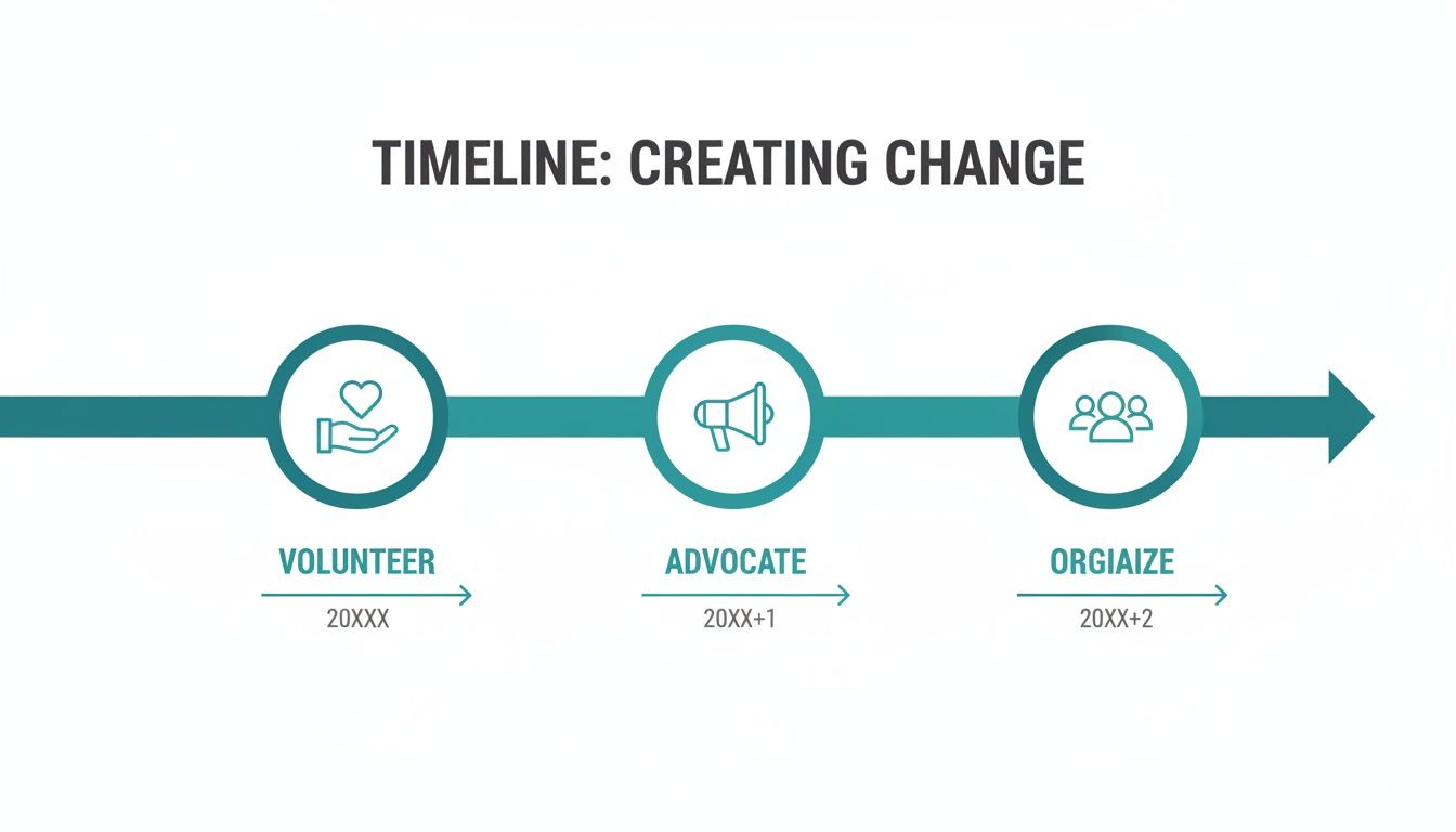 A three-step timeline titled 'Creating Change', featuring volunteer, advocate, and organize actions over three years.