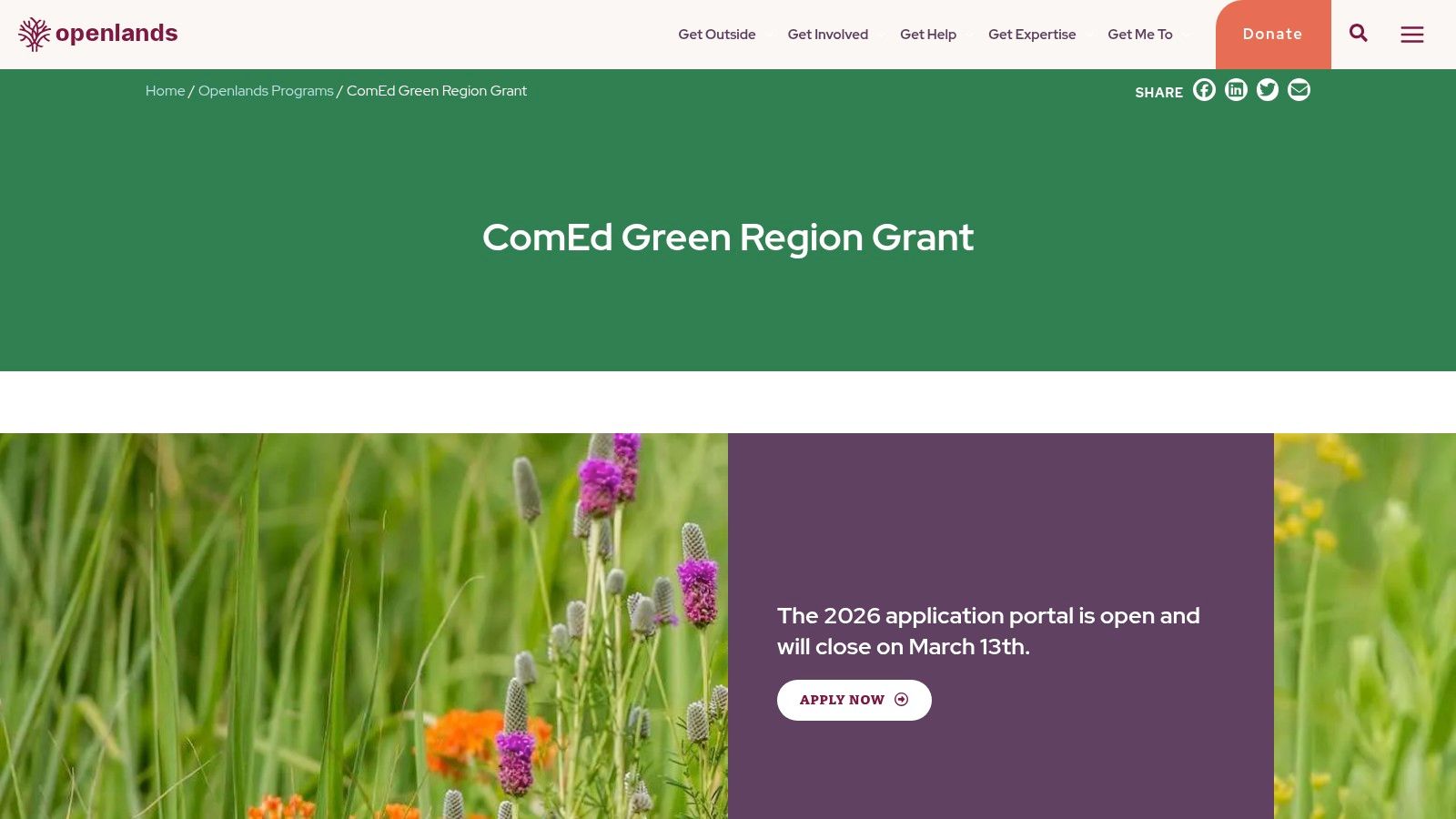 A lush green garden space funded by the Openlands + ComEd Green Region Grants.
