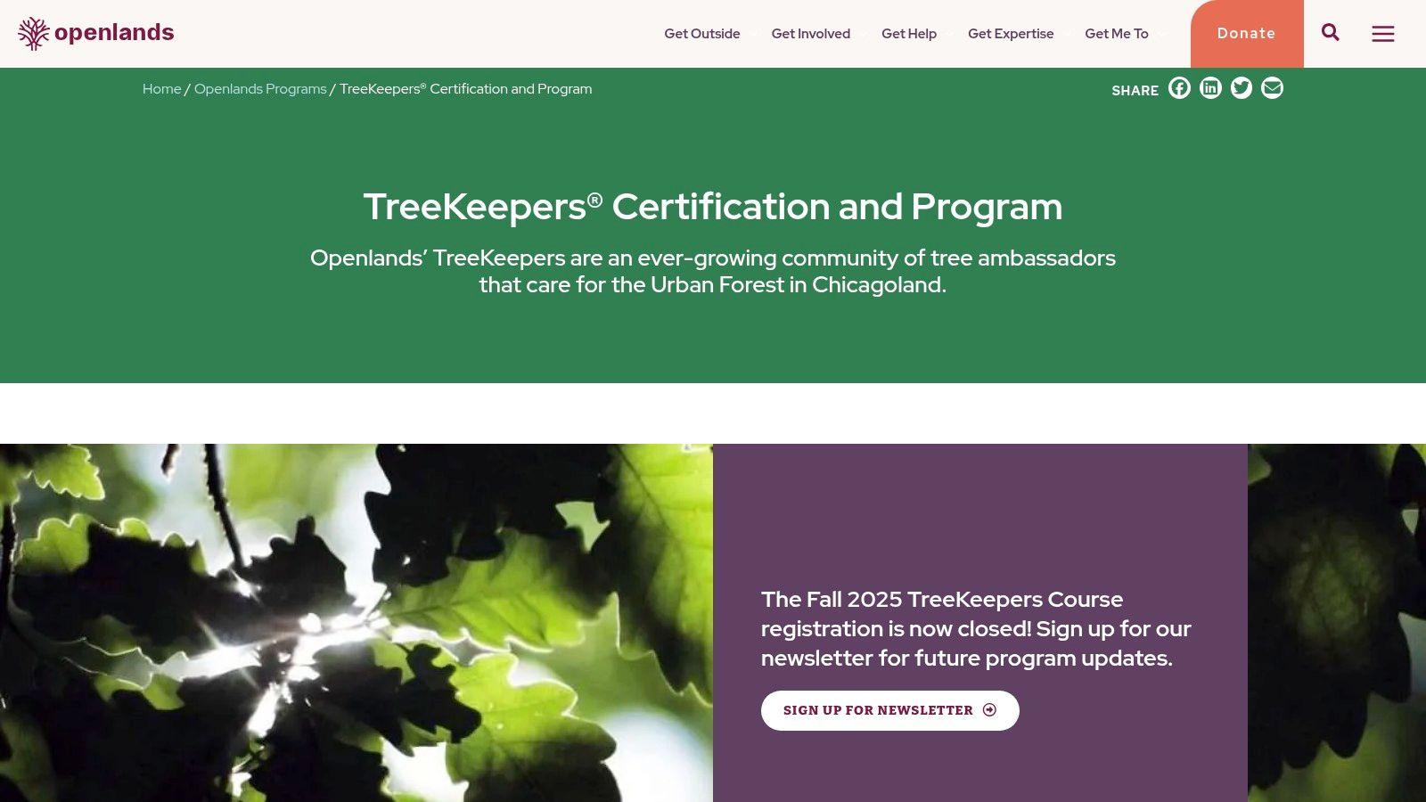 A volunteer from the Openlands TreeKeepers program carefully planting a new tree in a Chicago parkway.