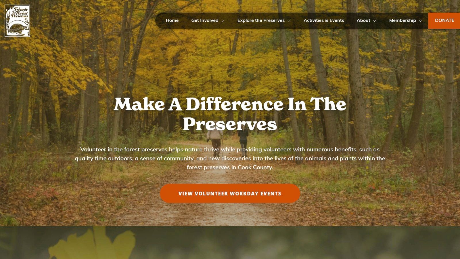 A group of volunteers clearing brush and invasive species in a Cook County forest preserve as part of an environmental community service project.