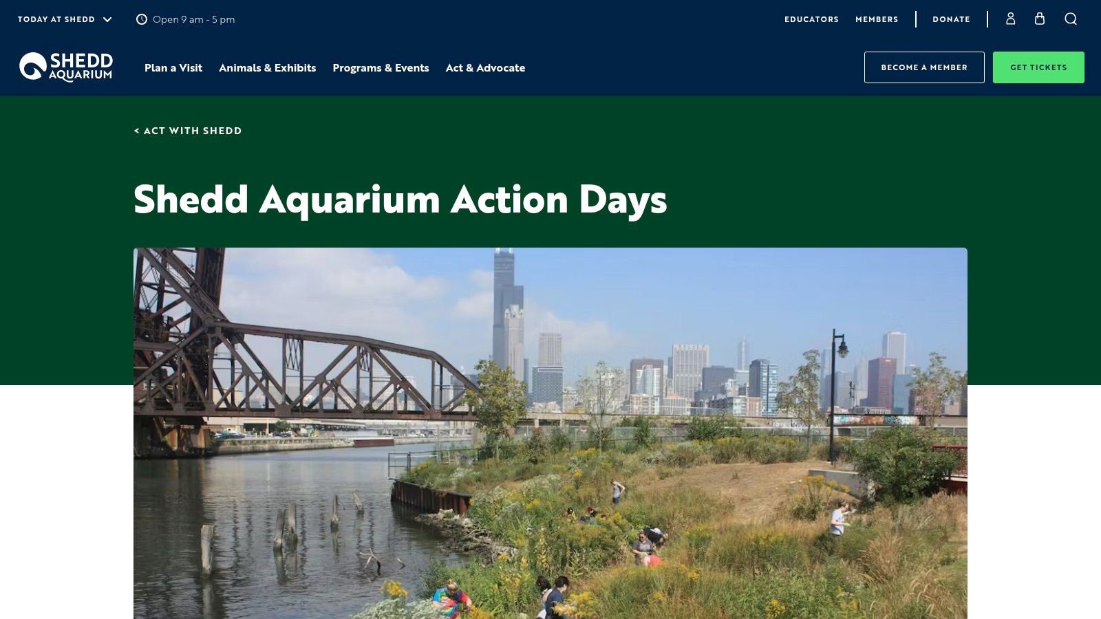 Shedd Aquarium — Action Days
