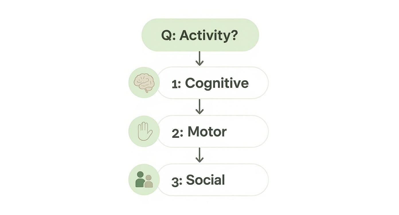 Flowchart showing three types of activities: cognitive with brain icon, motor with hand icon, and social with people icon