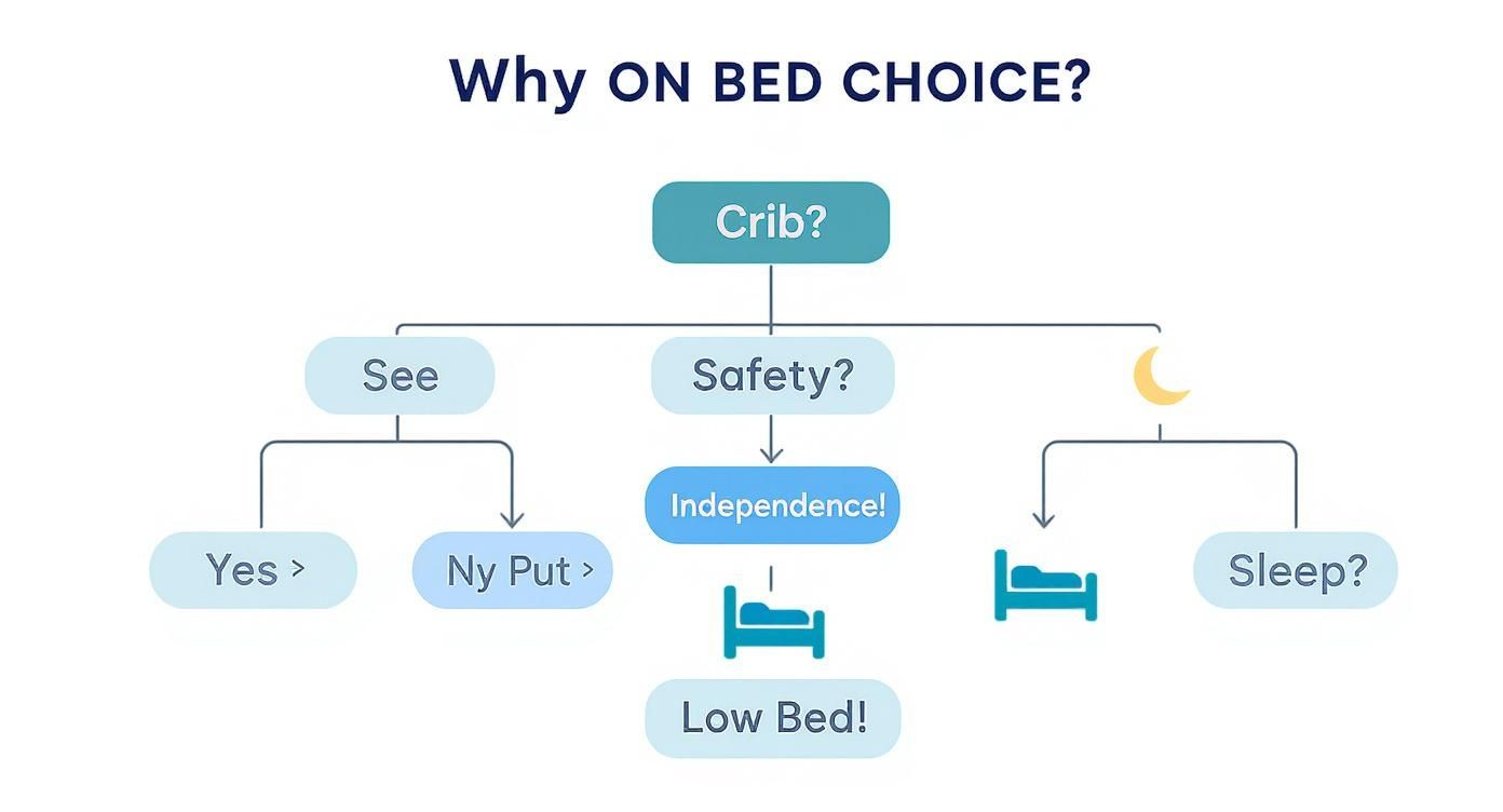 Infographic about low toddler beds