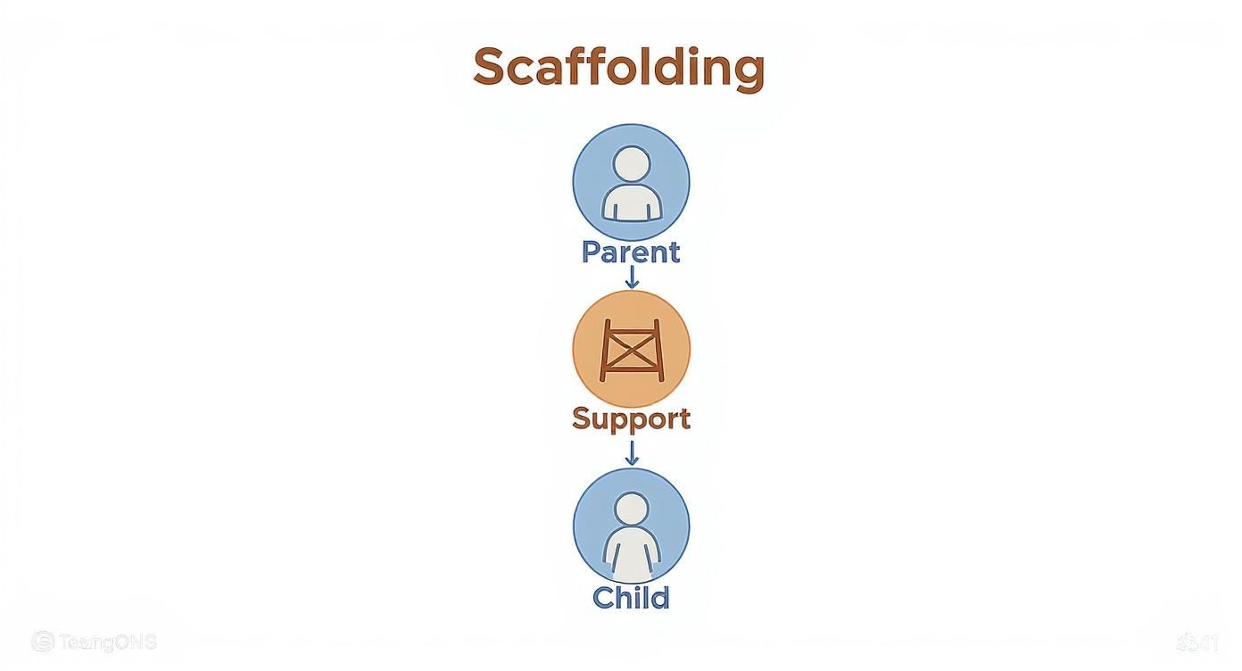 Infographic about what is scaffolding in child development