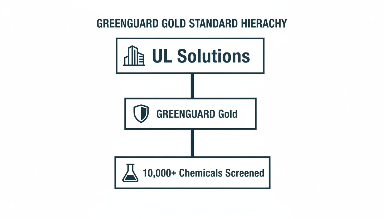A hierarchical diagram explaining the GREENGUARD Gold standard, from UL Solutions to chemical screening.