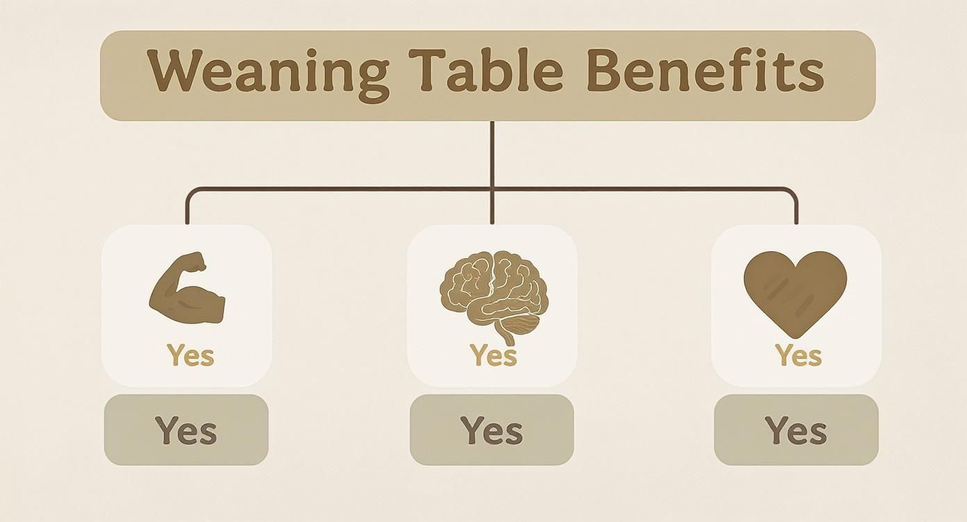 An infographic decision tree showing the benefits of a Montessori weaning table, branching into physical, cognitive, and emotional development.